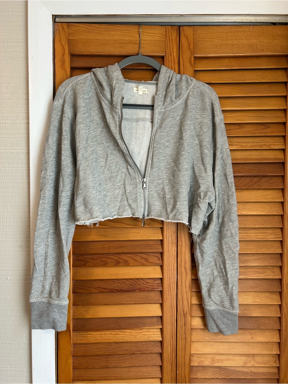Urban Outfitters Gray Cropped Zip-Up Hoodie
